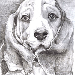 Charcoal