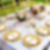 SSER_Table Package