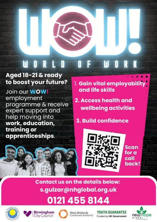 WOW Digital Flyer_NHG.jpg