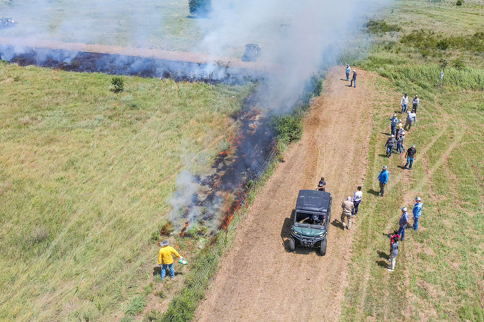 Oka’ Institute Hosts Land Stewardship and Field Research Workshop to Advance Sustainable Land Management Practices
