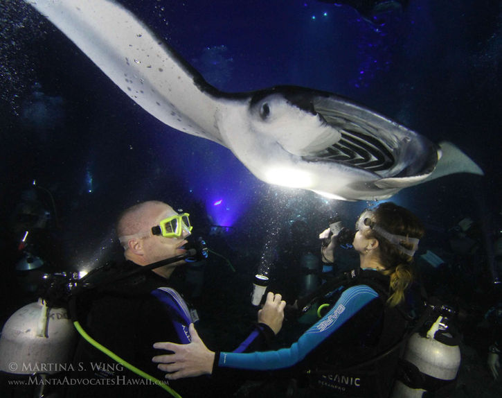 Scuba diving with stingray