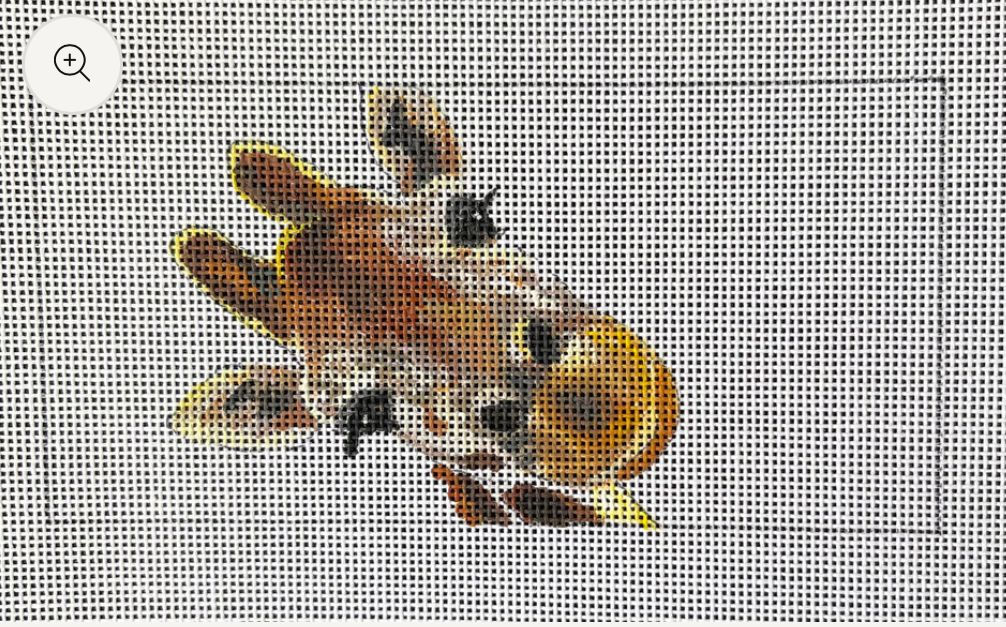Giraffe Insert by Colors of Praise
