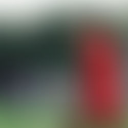 All Heart, All Honors: Barry Women’s Soccer 