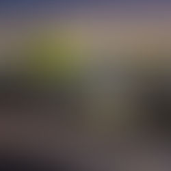 How Can You Improve Rental and Transportation Management via the Latest Software?