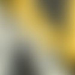 What Makes a Successful Dealership Management Software Conversion?