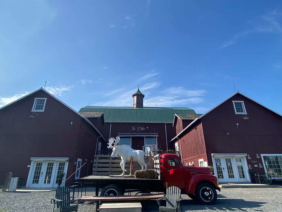 The Eddie Hotel and Farm in Prince Edward County