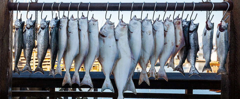 Fish on Hooks