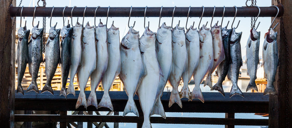 Digital Transformation in Vietnamese Fish Sauce Manufacturing: An AI-Integrated ERP Implementation Case Study