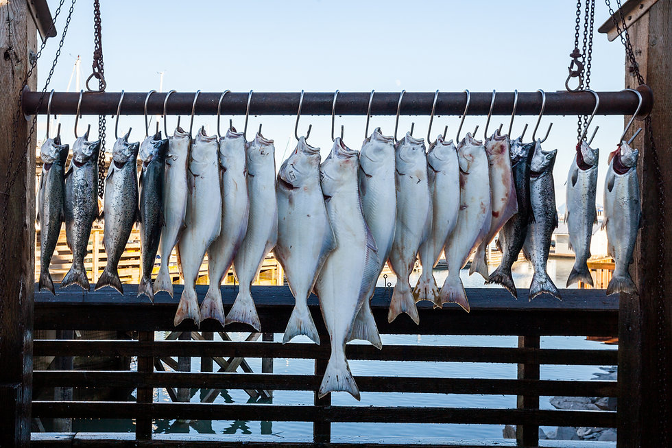 Fish on Hooks