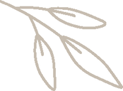 MANEJO HOLÍSTICO