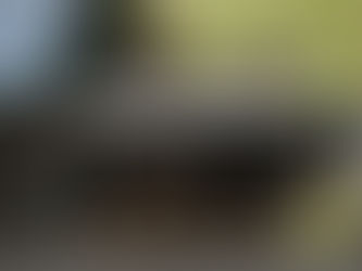 Listen To The Old Store Speak