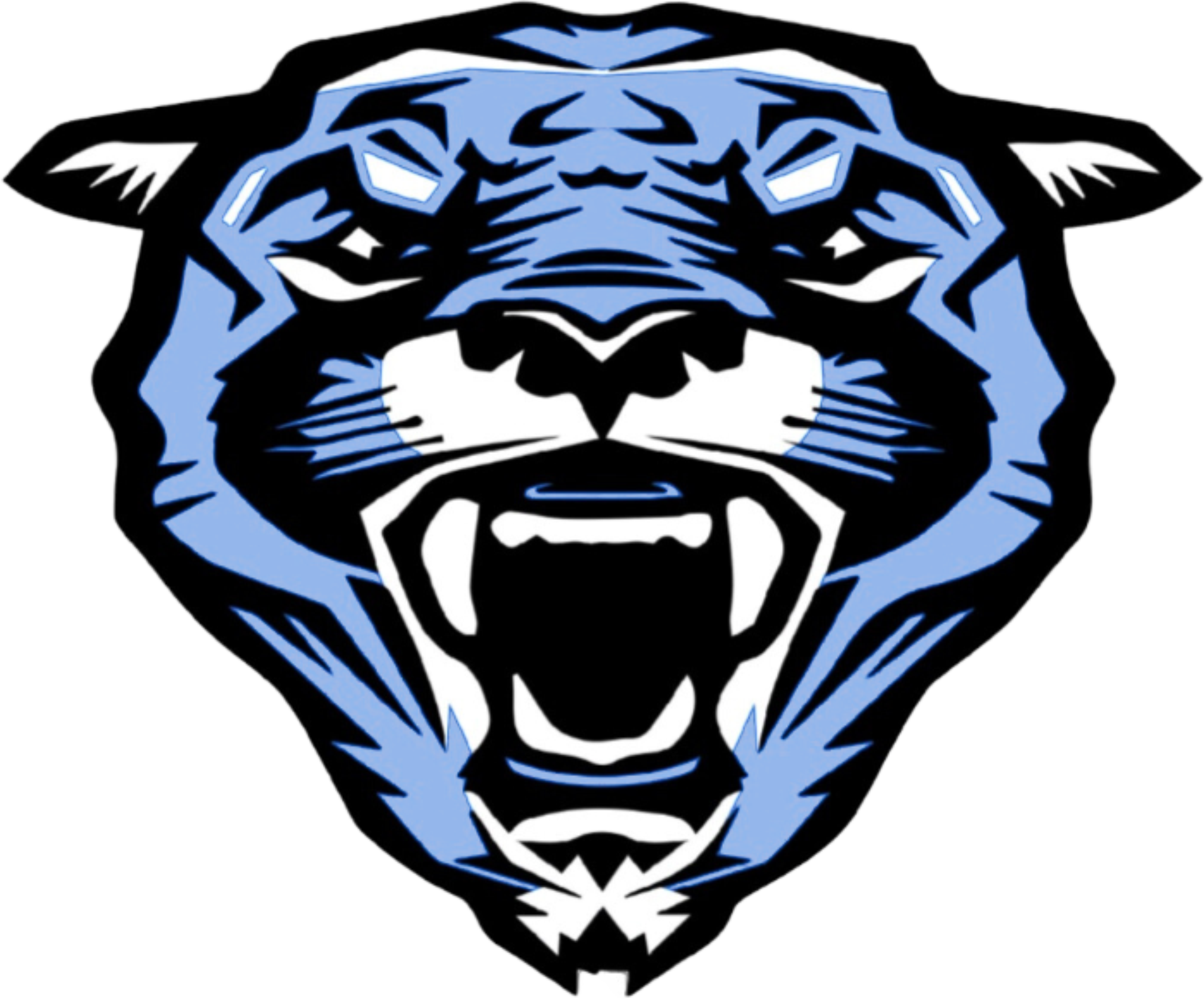 Home | Nashua Cougars, image size:2917x2421