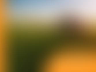 Conheça o FIAGRO: Fundos de Investimento nas Cadeias Produtivas Agroindustriais