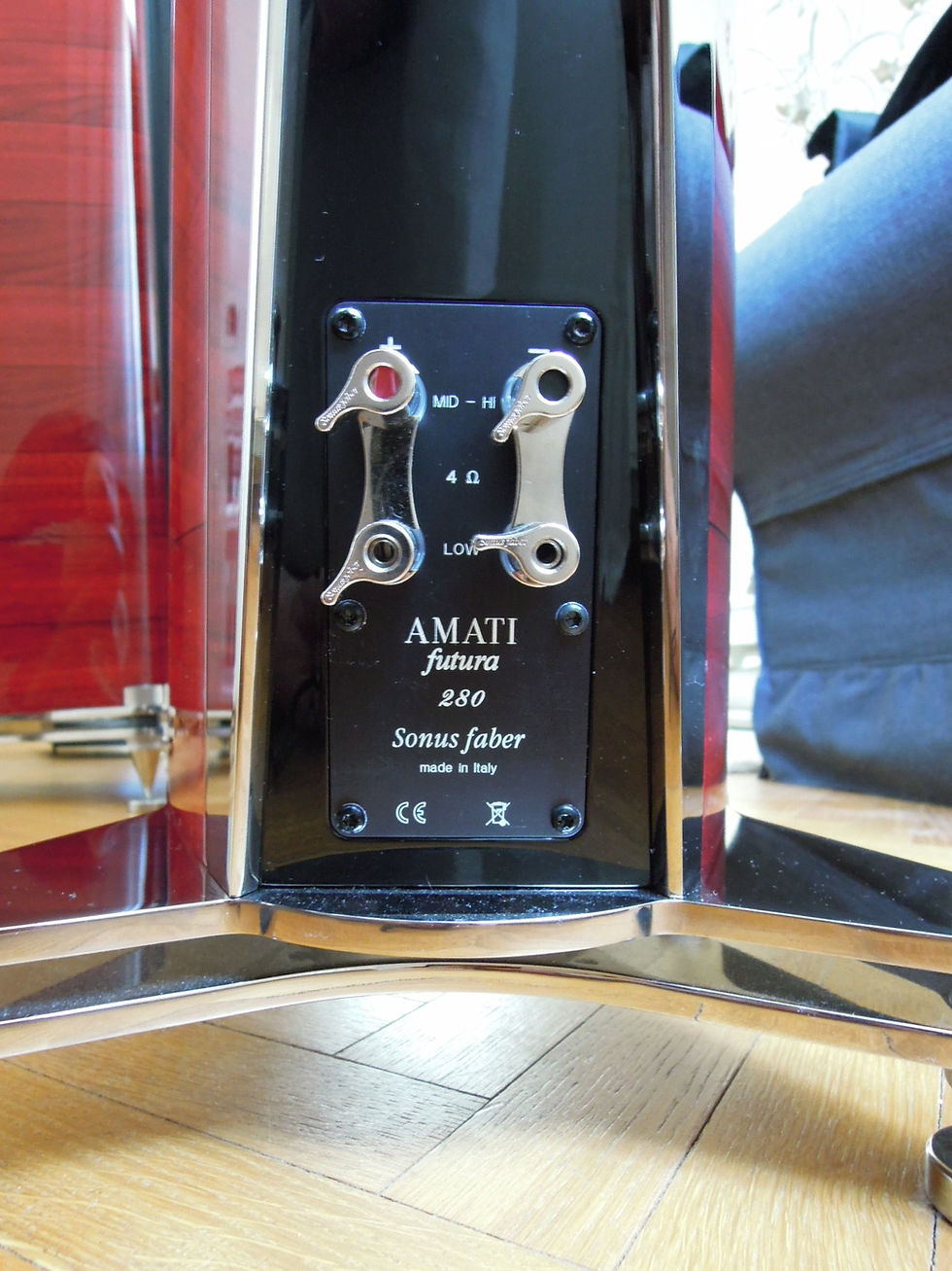Thumbnail: Sonus Faber Amati Futura