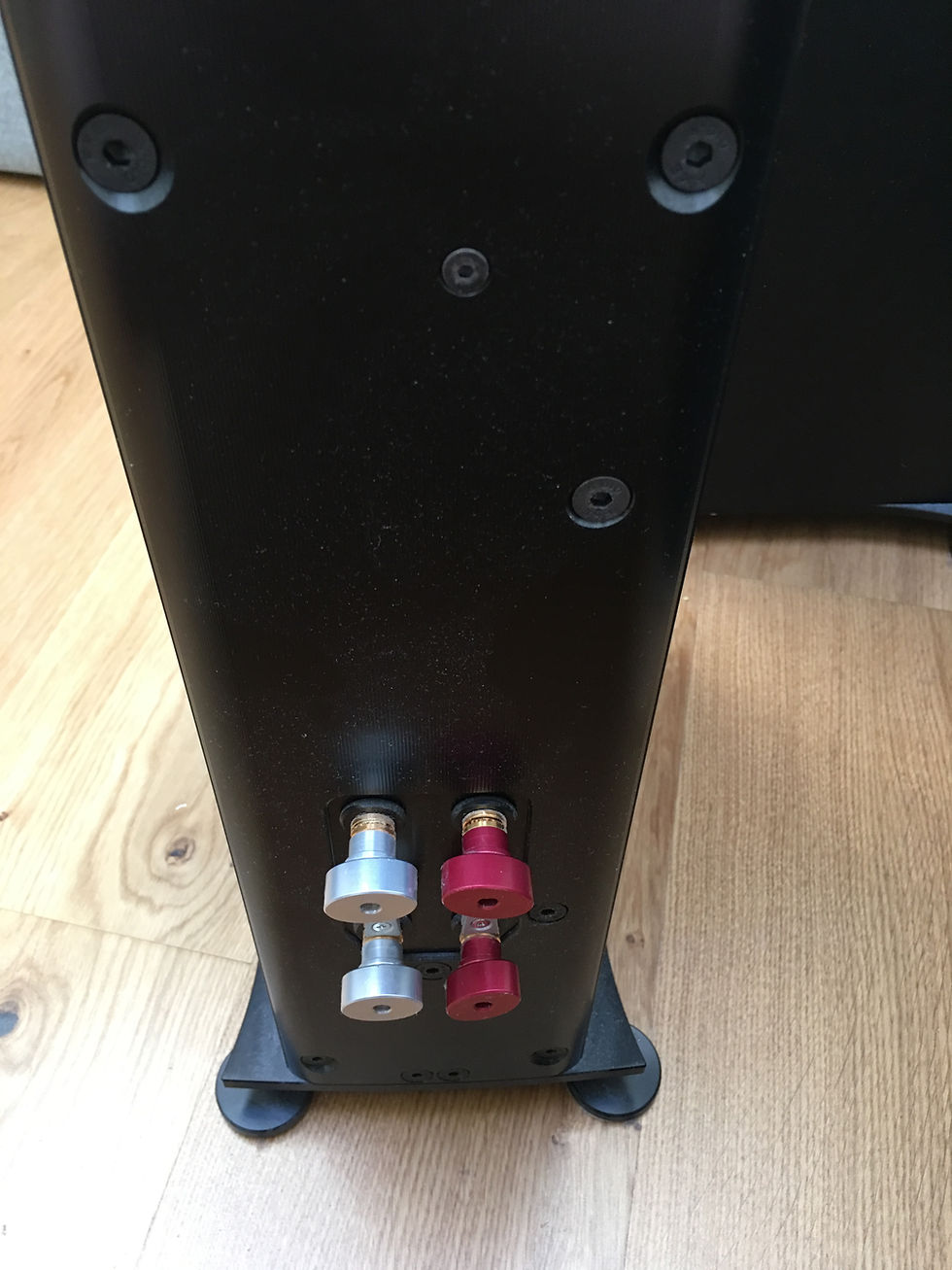 Thumbnail: YG Acoustics Carmel 2