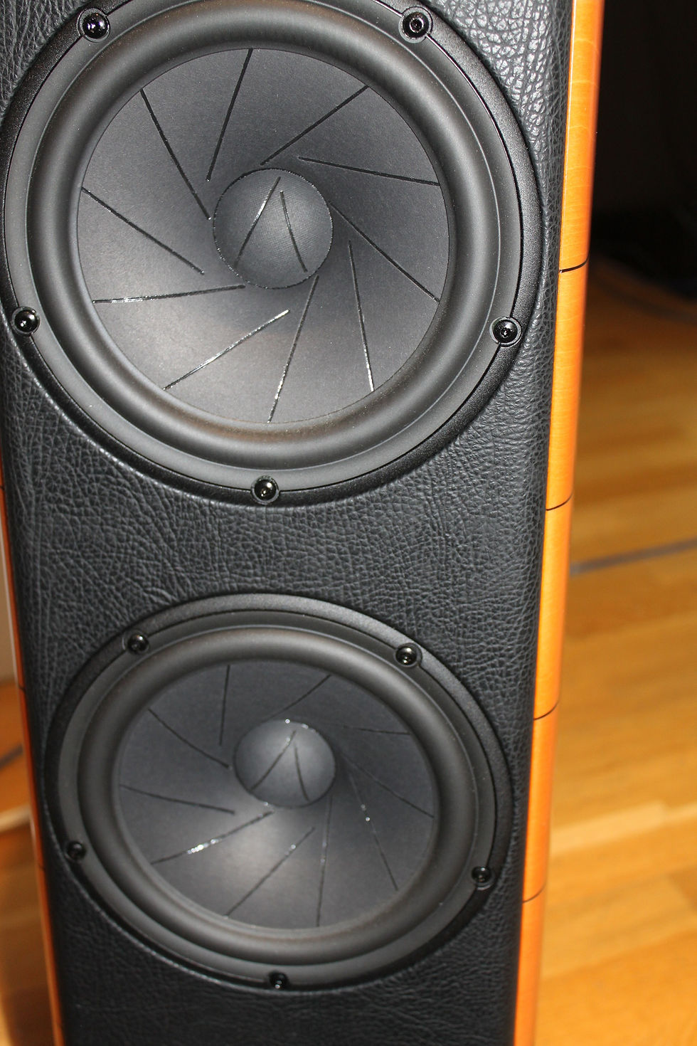 Sonus Faber Cremona M