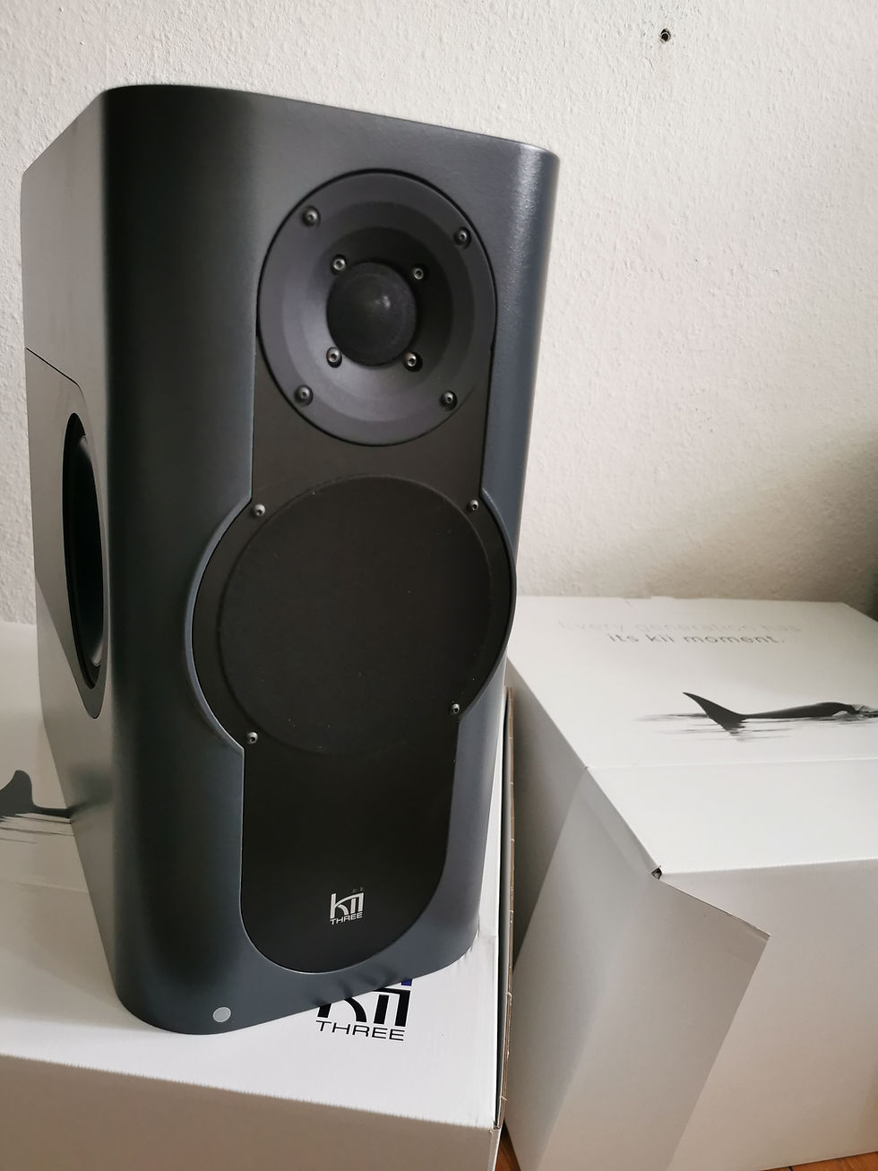 Thumbnail: Kii Audio Kii Three