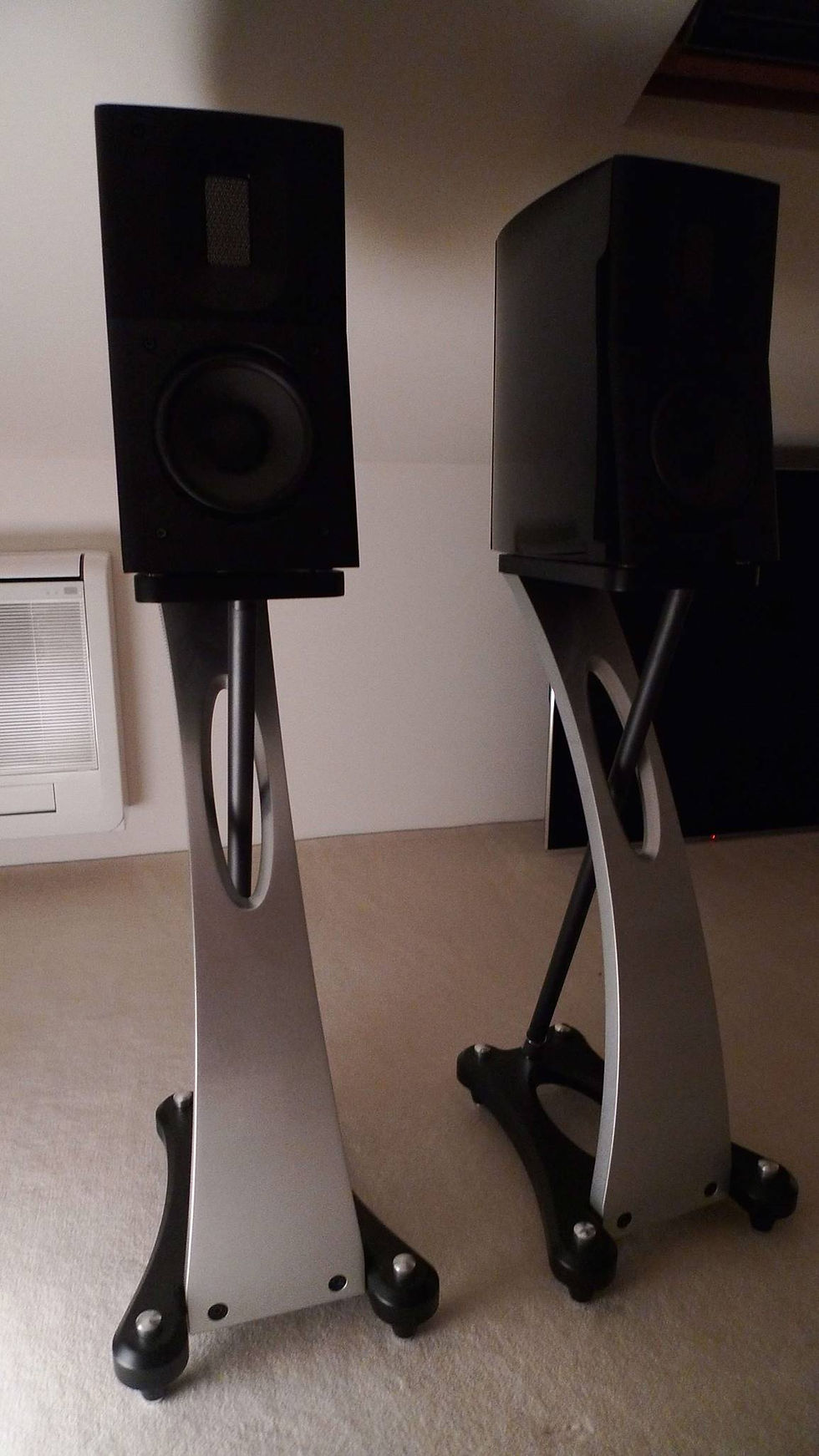 Raidho Acoustics D-1