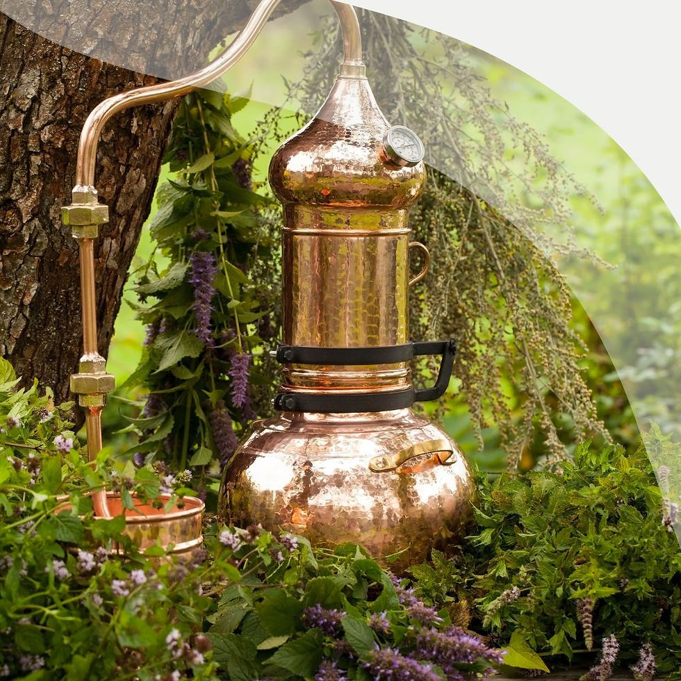 Pflanzen destillieren – Hydrolate selbst herstellen & anwenden