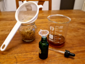 Phytotherapie – Die Kraft der Heilpflanzen