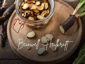 Beinwellwurzel-Extraktion