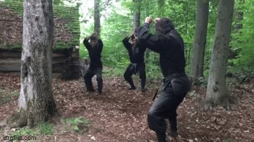 Sensei Oliver Martin demonstrates the use of metsubishi 目潰 within a tradition Togakure Ryu ninpo taijutsu kata.