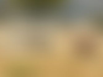 Best Mountain Climbing Tours In East Africa