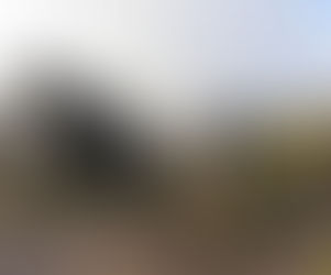 Mount Kilimanjaro Trekking Tours In Tanzania