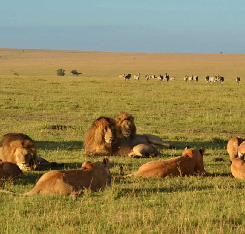 Best Climbing Tours In East Africa