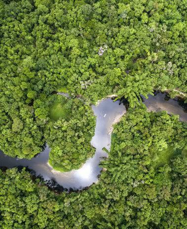 Floresta Amazônica
