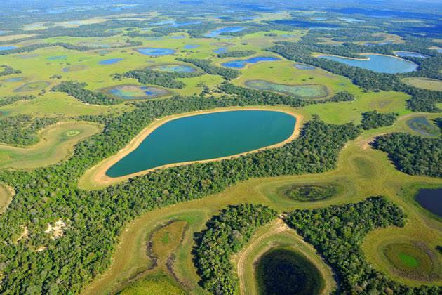 Pantanal Brasil