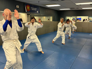 Why "The Best Martial Art" Isn't One-Size-Fits-All: Lessons from Self Defense Academy Colorado Springs