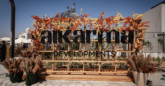 1Y6A6830 (1)_edited.jpg