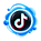 tiktok icon