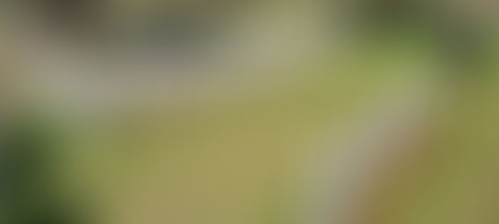 Havárie čs. letounu RAF na Nový rok 1945