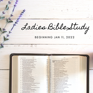 YV Ladies Spring Study (1).png