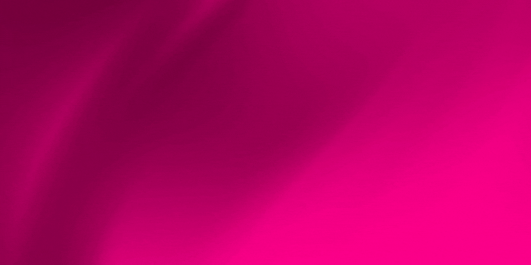 NZ Header.gif