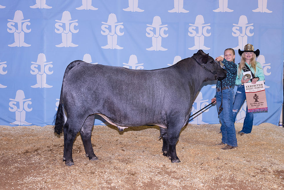 Reserve Steer
