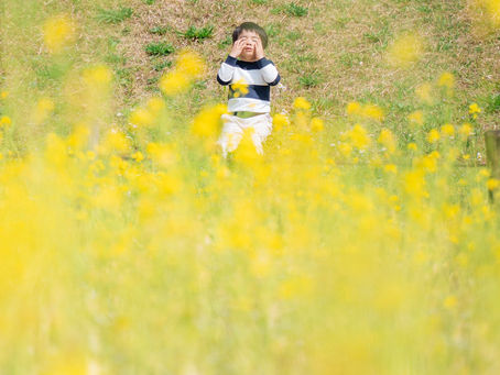 菜の花畑で遊ぶ子ども