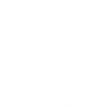 ICONOS_CARACTERÃSTICAS_CERTIFICACION.pn