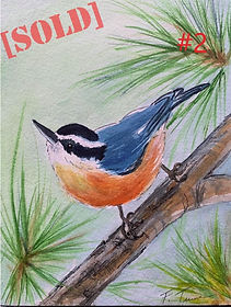 Red-breasted nuthatch #2 WEB SOLD.jpg