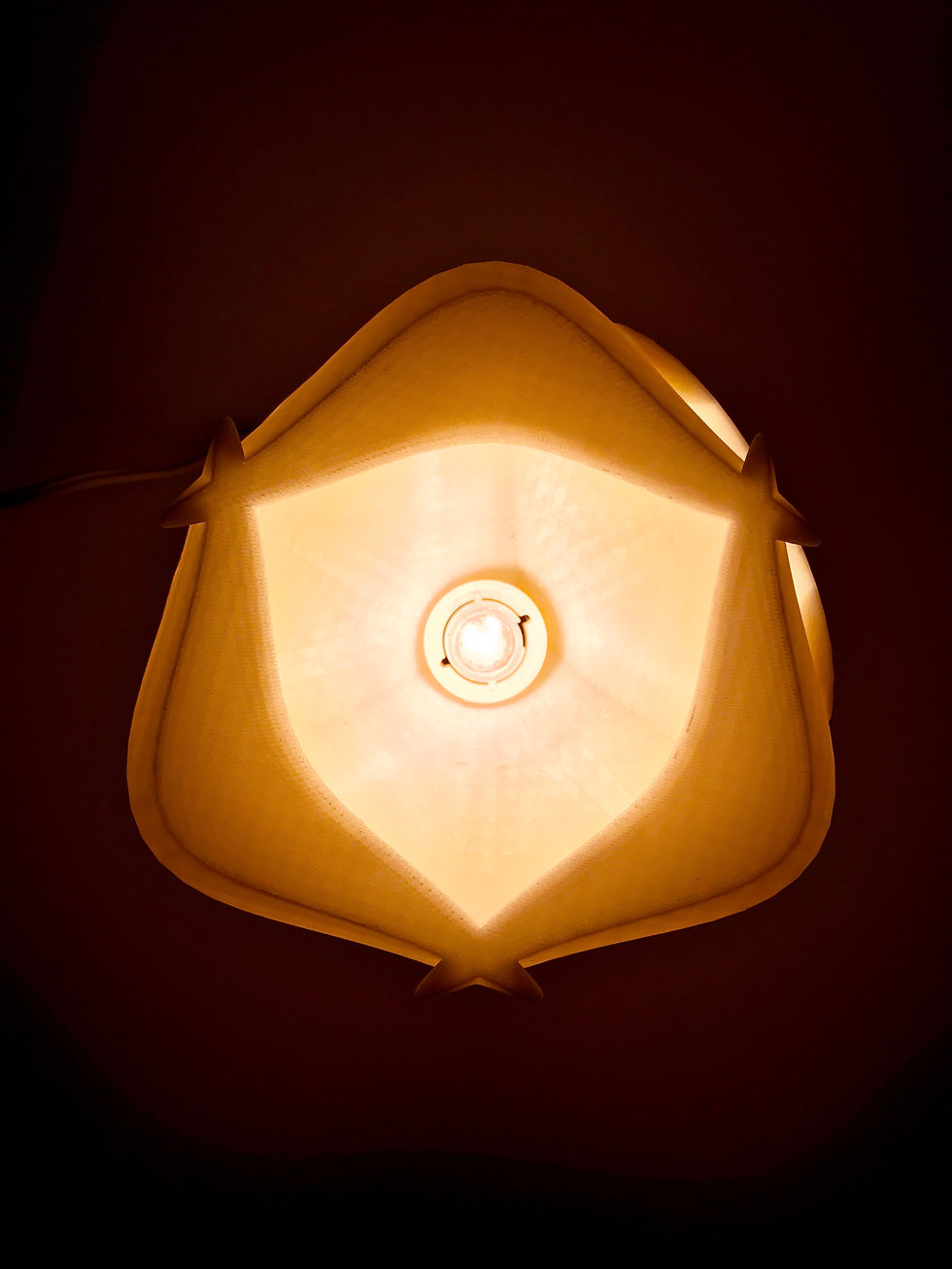 The Light Fixture