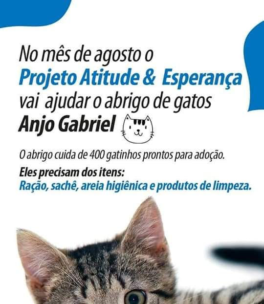 WhatsApp Image 2021-12-10 at 14.15.06.jpeg