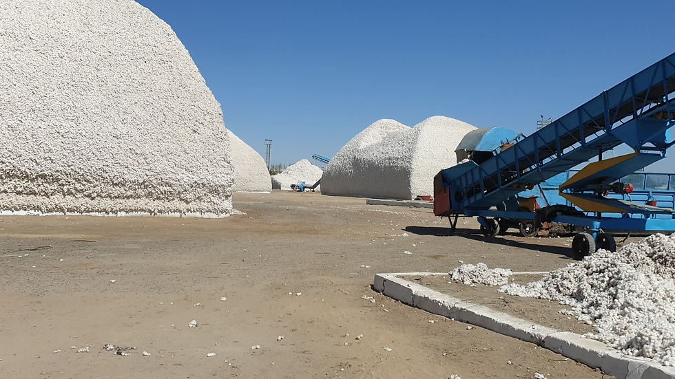 GINNING MILL