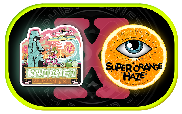 SuperKiwiHazeCross.png