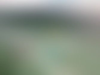 Mallorca is most popular water sports: kitesurfing, wingfoiling, efoiling & SUP