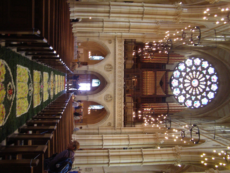 P1015388.JPG