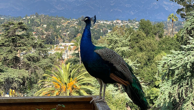 August 2025 General Board Meeting