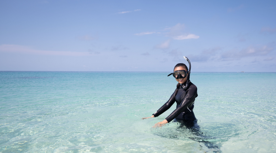 Beyond-The-Reef_webpage_2347x1302.png