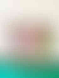 Golden Bees Montessori Transportation Day